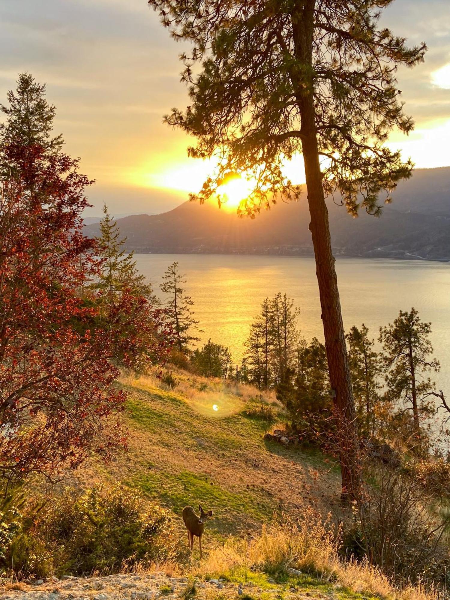 Kelowfornia Lakeview Retreat Kelowna Exterior foto